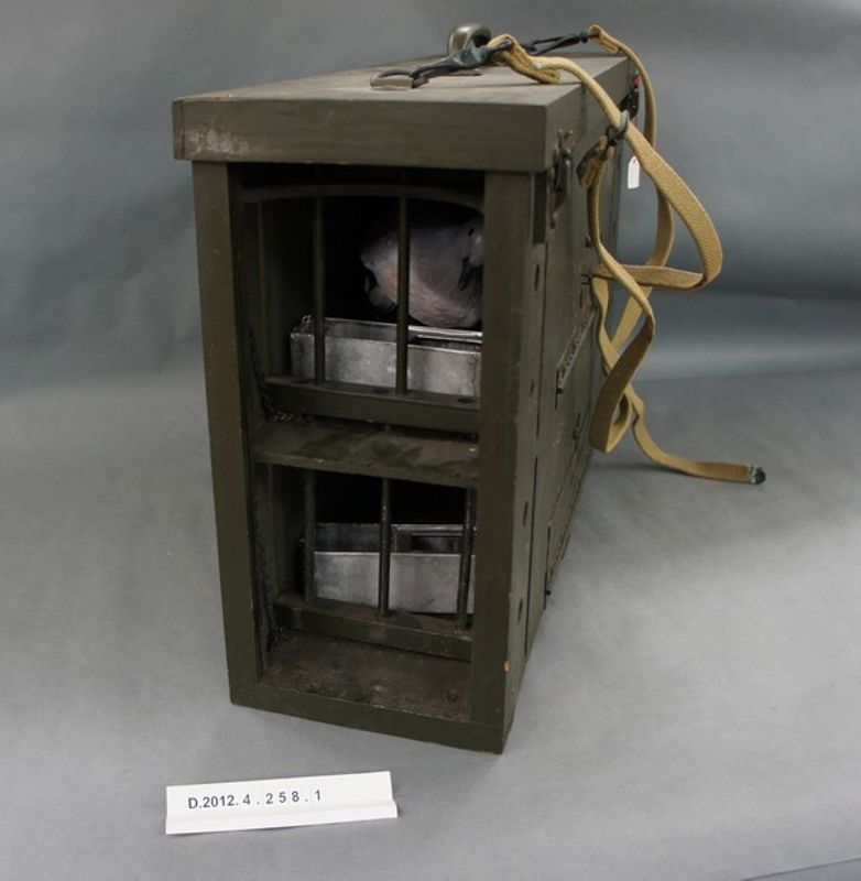 Pigeonnier – Collection du musée de la Résistance et de la Déportation du Cher 